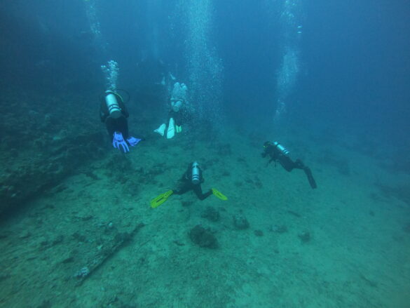 4 Divers in the Red Sea 4 divers in the Red Sea