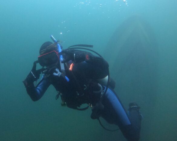 lake snorkel Diving with a snorkel in the lake