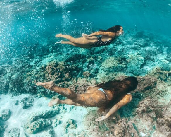 Women Wearing Swimsuit Swimming Under Water Near the Reef Women Wearing Swimsuit Swimming Under Water Near the Reef