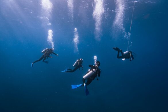 Scuba Divers with Equipment Swimming in Water Scuba Divers with Equipment Swimming in Water