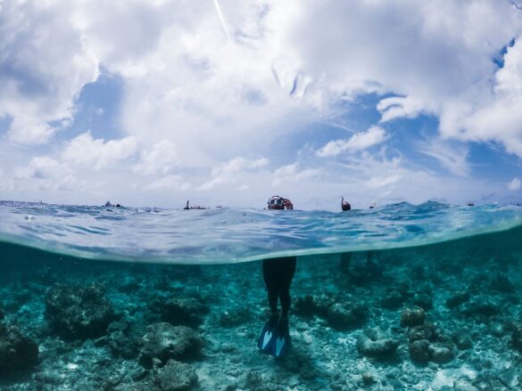 Unrecognizable snorkeler standing in warm blue seawater Unrecognizable snorkeler standing in warm blue seawater