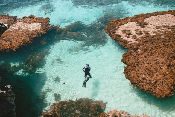 A Man in Black Wet Suit in Water A Man in Black Wet Suit in Water