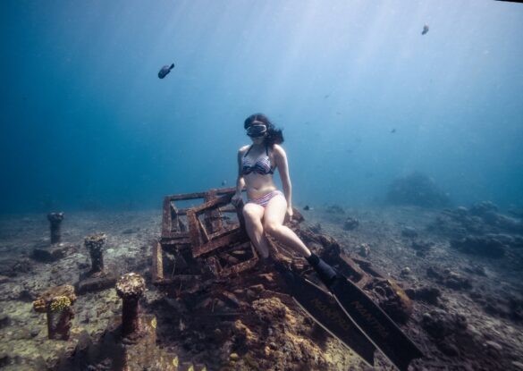 A Woman Freediving Under the Sea A Woman Freediving Under the Sea
