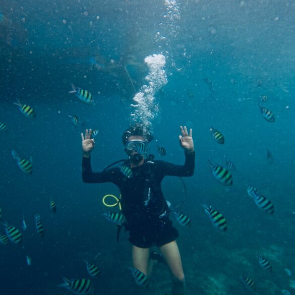 A Person in Black Wetsuit Under Water Signaling Okay A Person in Black Wetsuit Under Water Signaling Okay