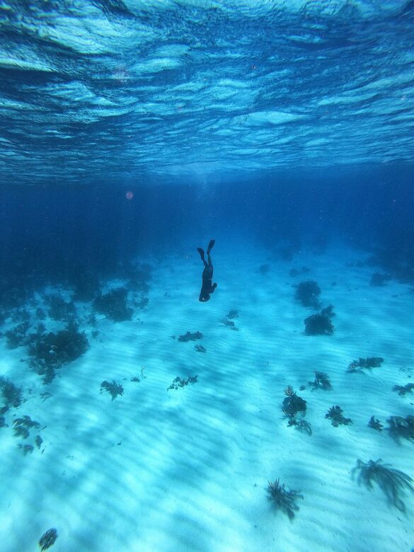 Person in Black Wet Suit Swimming in the Sea Person in Black Wet Suit Swimming in the Sea