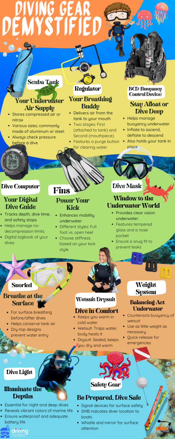 Diving Gear Infographic Diving Gear Explained