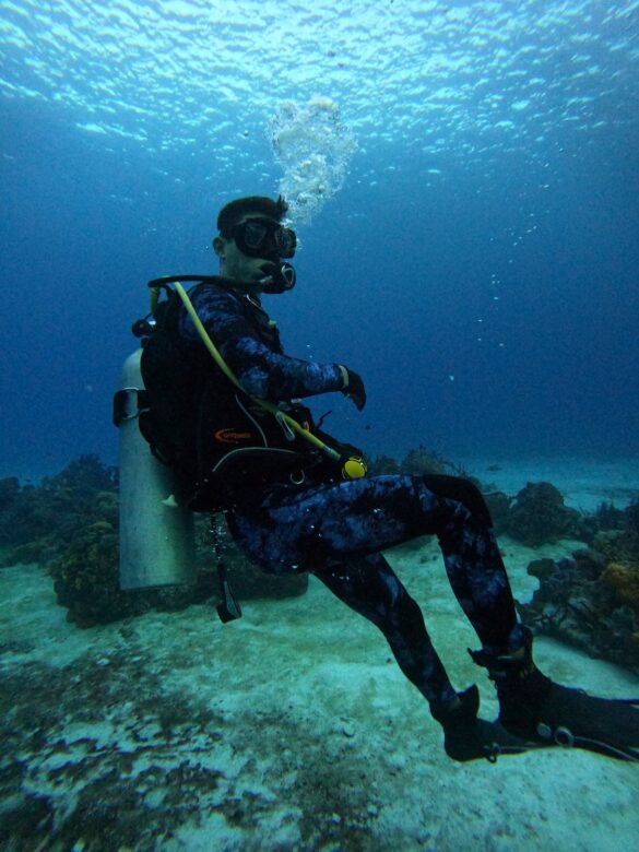 A Scuba Diver Underwater A Scuba Diver Underwater