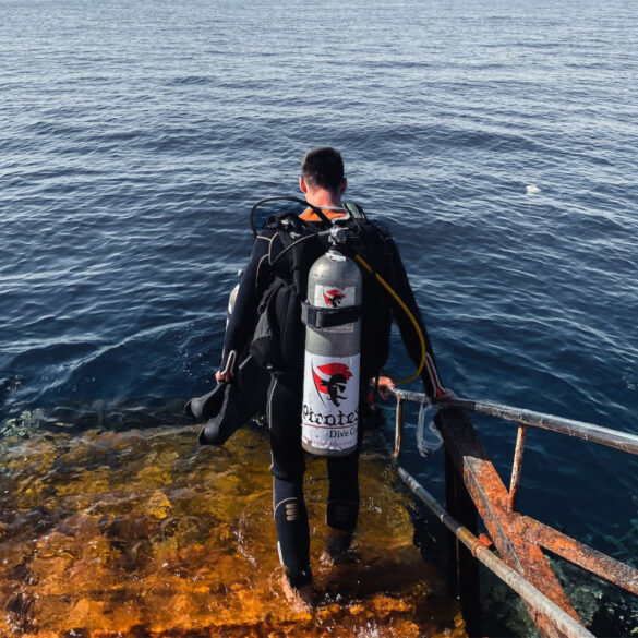 Untitled design (2) Svg%3E