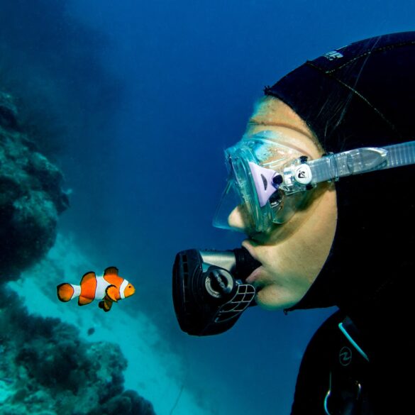 Close-Up Photo of a Woman Near a Clownfish Close-Up Photo of a Woman Near a Clownfish