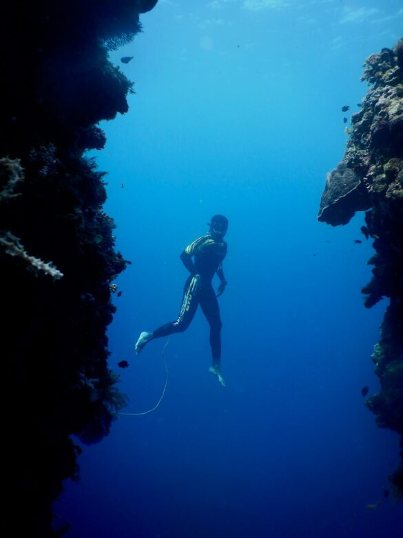 Anonymous diver exploring coral refs during diving in ocean Anonymous diver exploring coral refs during diving in ocean