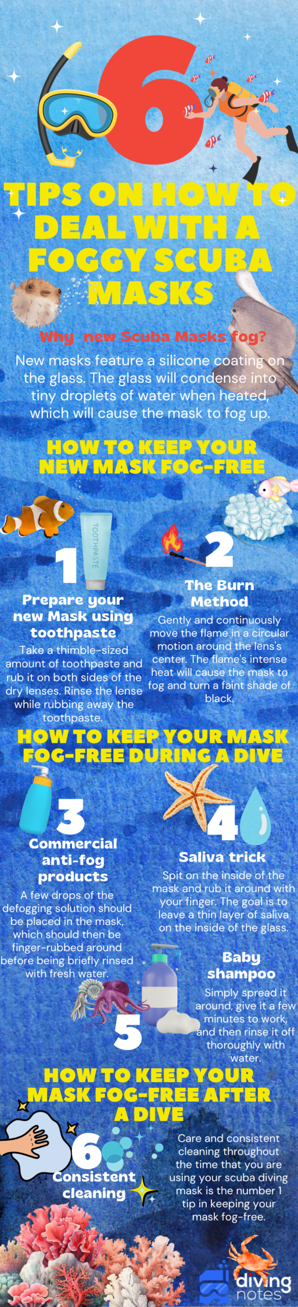 Scuba Masks Infographic (800 x 3500 px) Svg%3E