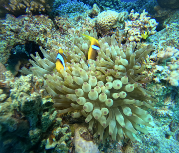 Screen Shot 2023-11-06 at 7.01.34 PM Svg%3E