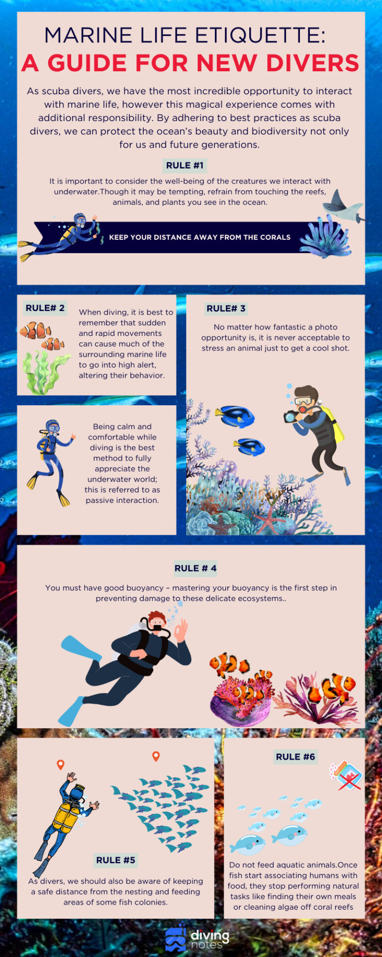 Marine Life Etiquette Infographic