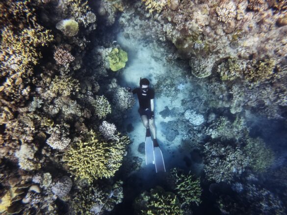 Person in Black Suit Diving Underwater Person in Black Suit Diving Underwater