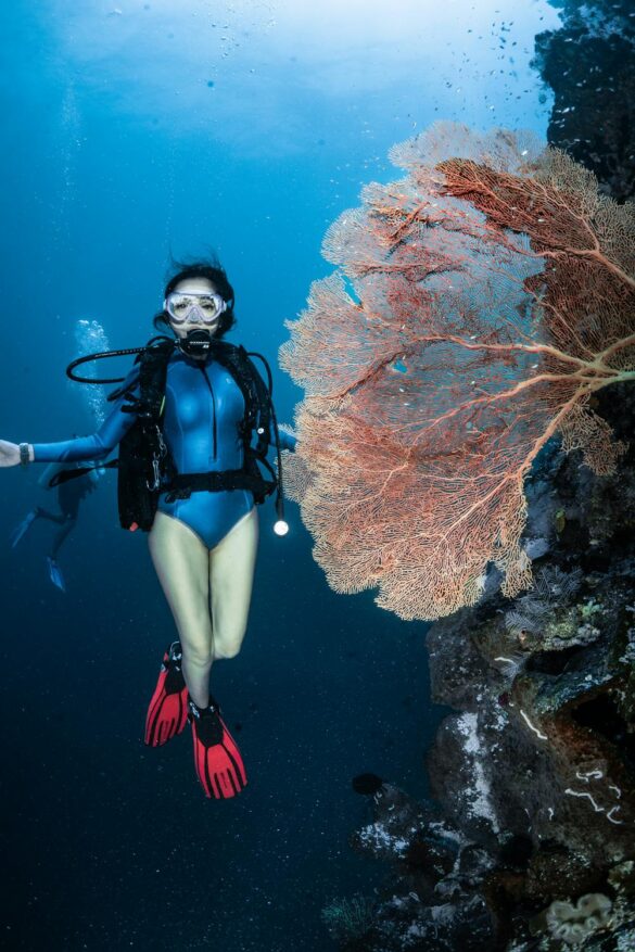 Underwater Photo of a Woman Scuba Diving Underwater Photo of a Woman Scuba Diving