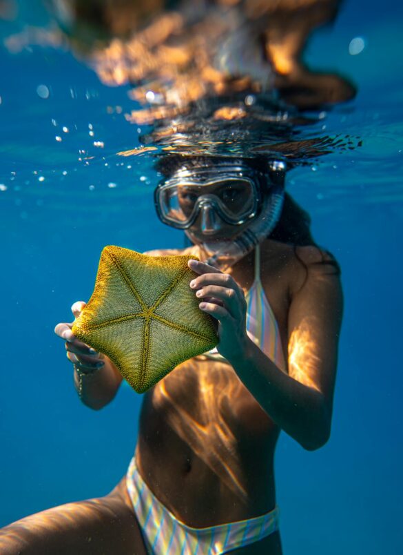 Woman holding starfish while snorkeling in sea Woman holding starfish while snorkeling in sea