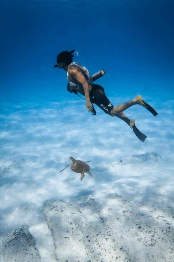 Man Swimming With Sea Turtle Man Swimming With Sea Turtle