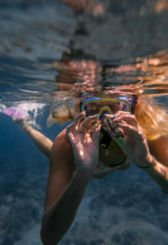 Anonymous female demonstrating seashells while diving undersea Anonymous female demonstrating seashells while diving undersea