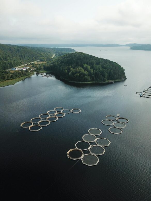 Aerial Shot of Fish Pens in the Lake Aerial Shot of Fish Pens in the Lake