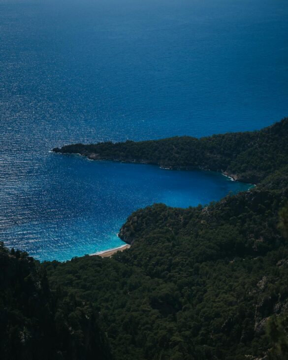 Bay Surrounded by a Forest Bay Surrounded by a Forest