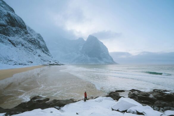 Person Wearing Red Jacket on Seashore Person Wearing Red Jacket on Seashore