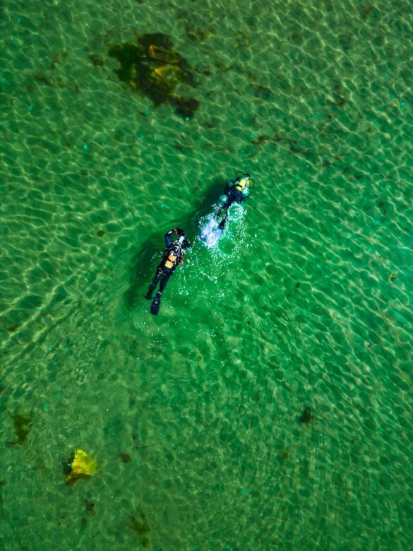 Aerial View of Two People Scuba Diving in the Ocean Aerial View of Two People Scuba Diving in the Ocean