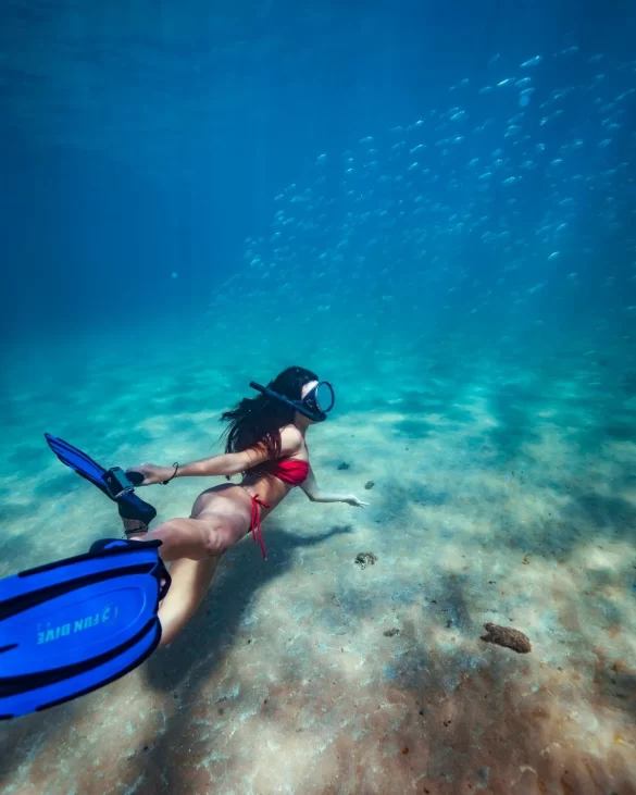 Woman Diving in Ocean Woman Diving in Ocean