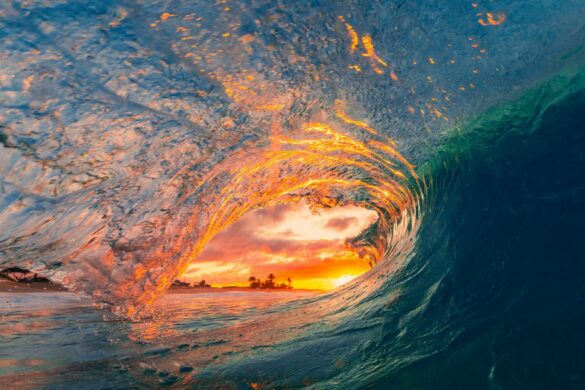 View of a Wave at Sunset Sunset View of a Wave at Sunset Sunset