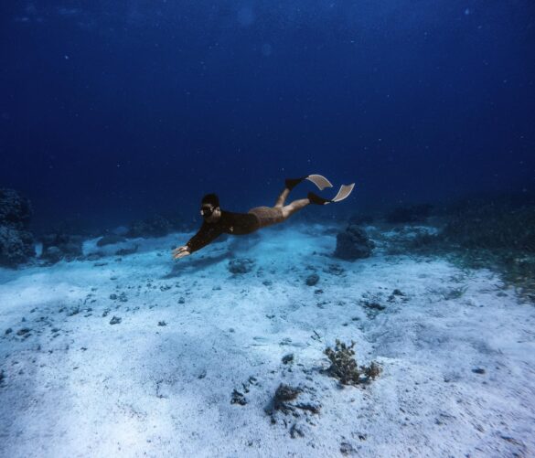 A Person Wearing Goggles and Flippers Swimming Underwater A Person Wearing Goggles and Flippers Swimming Underwater