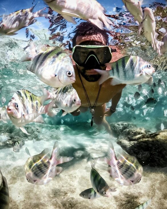 Underwater View of Man with Goggles and Fish Underwater View of Man with Goggles and Fish