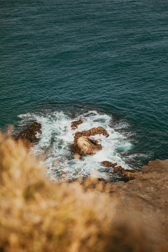 Stunning Coastal View of Waves at Castlepoint, NZ Stunning Coastal View of Waves at Castlepoint, NZ