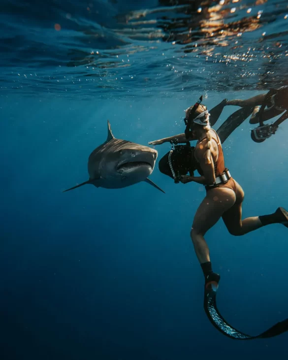 Woman Scuba Diving with Fish Woman Scuba Diving with Fish