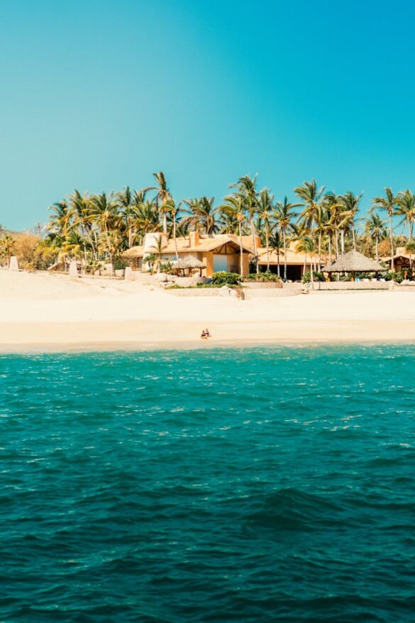 free-photo-of-a-beach-with-palm-trees-and-a-house-on-it Svg%3E