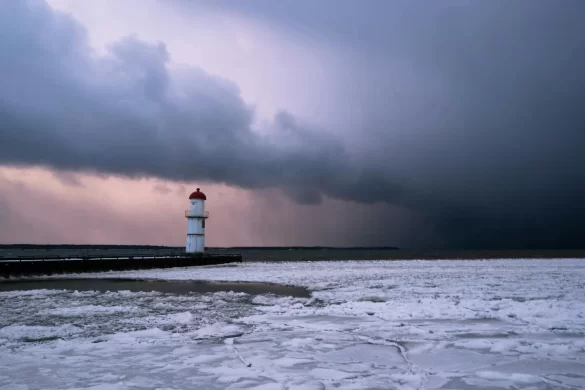 pexels-photo-30313136 Svg%3E