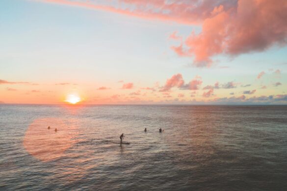 pexels-photo-4319026 Svg%3E