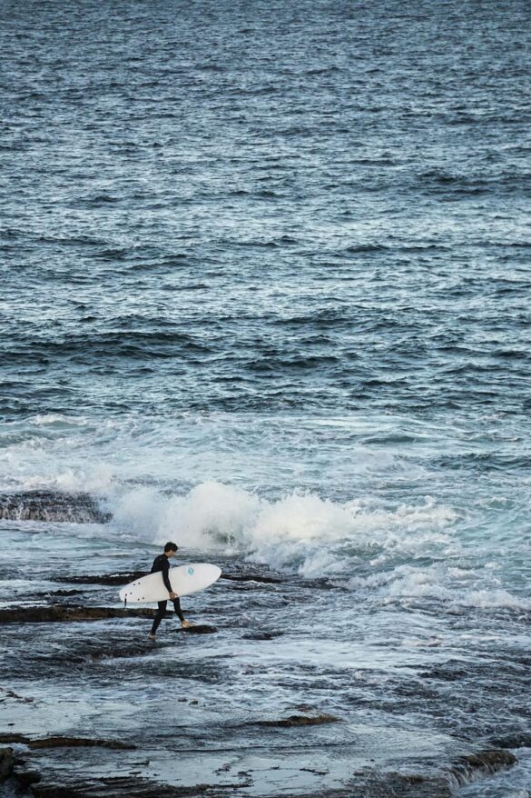 pexels-photo-7288699 Svg%3E