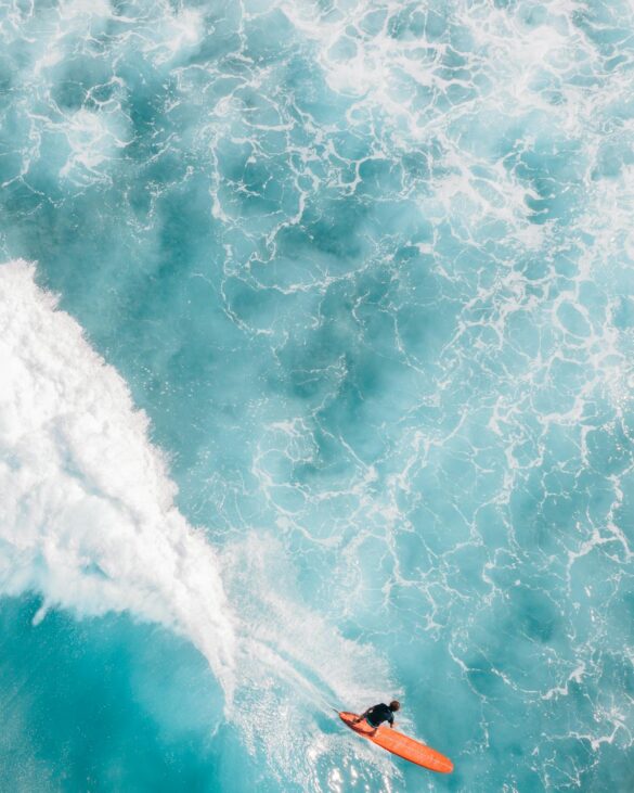 pexels-photo-9259795 Svg%3E