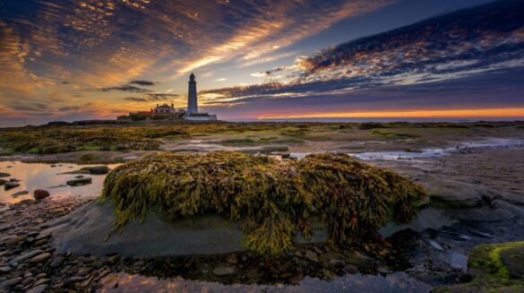 free-photo-of-st-marys-lighthouse-on-tidal-island-at-sunset Svg%3E