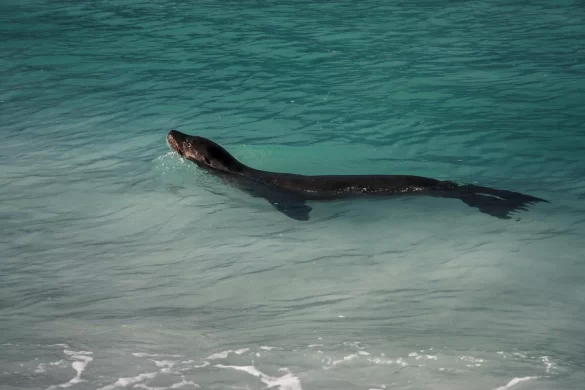 pexels-photo-26935410 Svg%3E