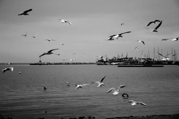 pexels-photo-31165869 Svg%3E