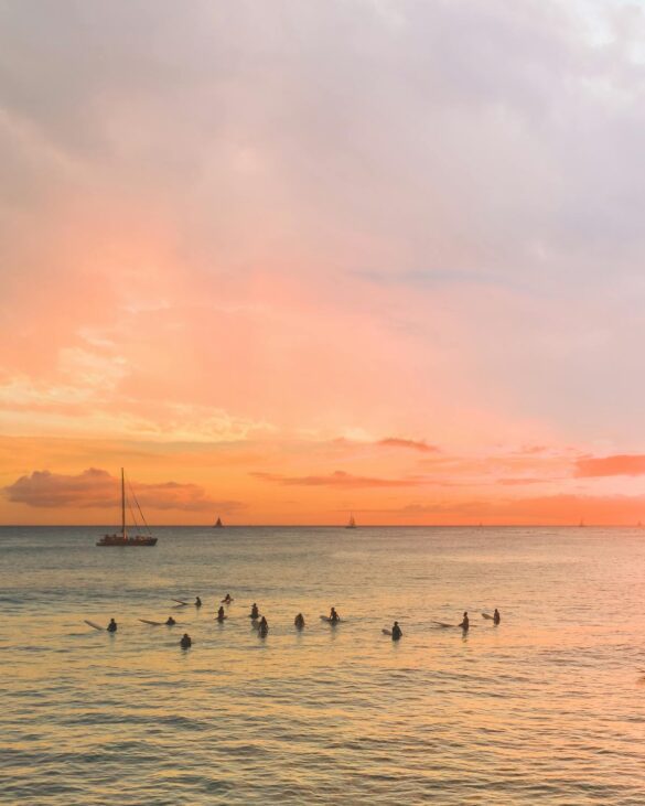 pexels-photo-5232259 Svg%3E