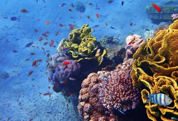 ImageForNews_35689_17459101807281434 Svg%3E