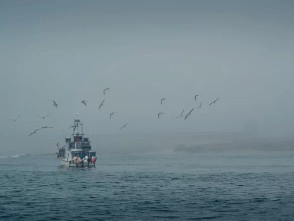 pexels-photo-8849657 Svg%3E