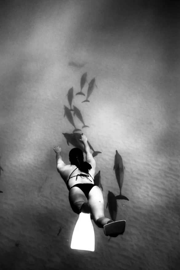 pexels-photo-9070939 Svg%3E