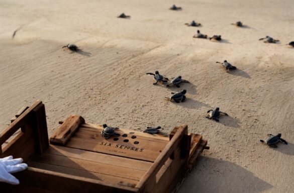 425910_Picture1 Svg%3E