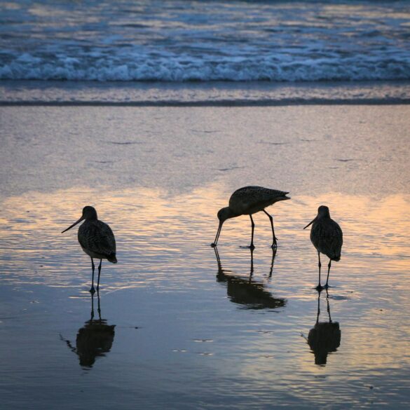 pexels-photo-10843580 Svg%3E