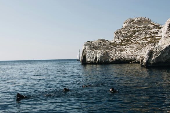 pexels-photo-3098873 Svg%3E