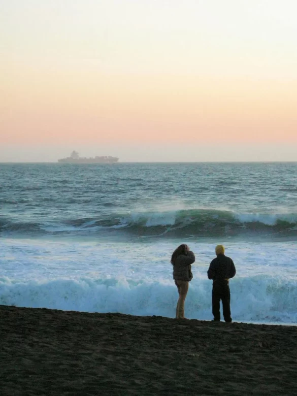 pexels-photo-31795326 Svg%3E