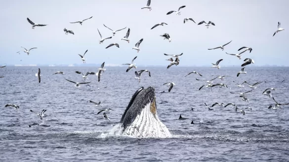 1920x1080_cmsv2_09f2f0b6-ef76-58f6-b680-a3a11baf8e6a-9326871 Svg%3E