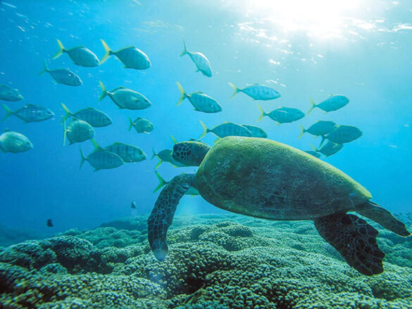 MD-WEB-PIC19-770×578 Svg%3E